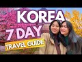 Korea 2025 Travel Guide Best Places To Visit Things To Do Itinerary Expenses Budget Vlog