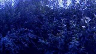 Deine Lakaien - Mirror Men (2nd Mix)