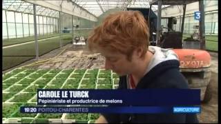 preview picture of video 'Les melons en manque de soleil'