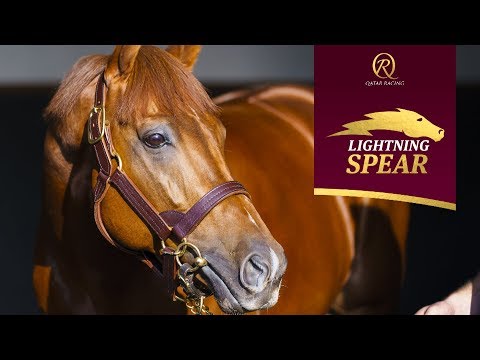 Champion Older Miler Lightning Spear stands at Tweenhills in 2019