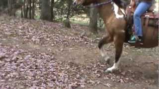 HARMON PFARMS CLAIREANNA &amp; SARAH TRAIL RIDE