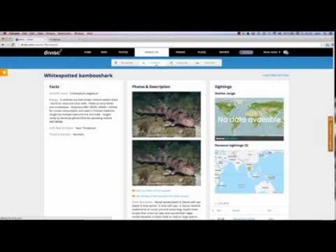 Diviac - how to log your dives in 30 seconds using templates