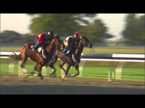 The 2015 Breeders' Cup Comes to the Bluegrass