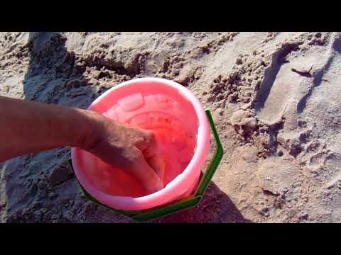 download lagu mp3 mp4 Meduza Z Batyku, download lagu Meduza Z Batyku gratis, unduh video klip Meduza Z Batyku