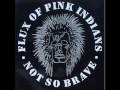 Flux of Pink Indians - Is there anybody there? 