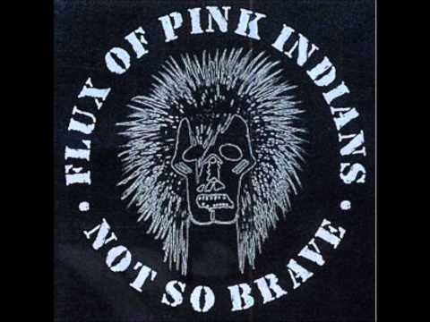 Flux of Pink Indians - Is there anybody there?