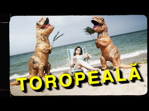 Video thumbnail for Toropeală