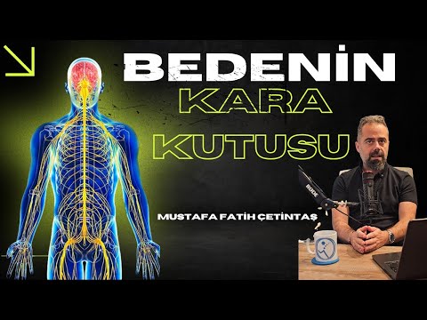Mustafa Fatih Çetintaş-5