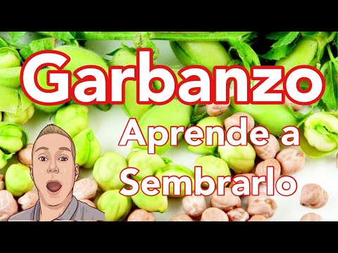 , title : 'Como Sembrar Garbanzos!!!'