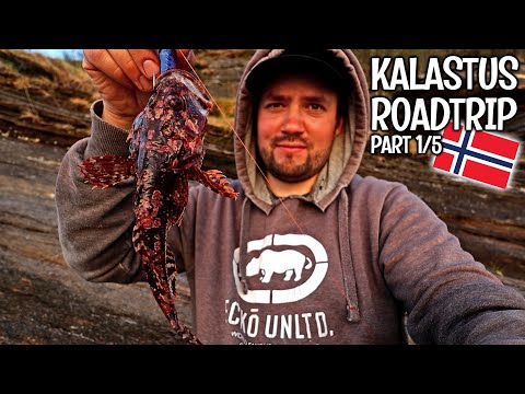 SIMPPUJA SKIBOTTENISTA - KALAREISSU NORJAAN 2022, OSA 1 - SKIBOTN - LYNGEN -NORDNESET