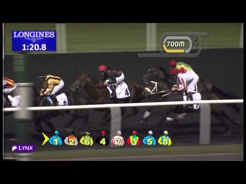 21.02.2013 Meydan (Dubai-UAE) 3.Race Al Naboodah Travel & Tourism Agencies Trophy - 1.900 m