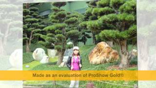 Download lagu If I Had You - Alan Jackson (Cover) mp3