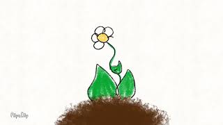 projeto 1 animação | o menino e a flor