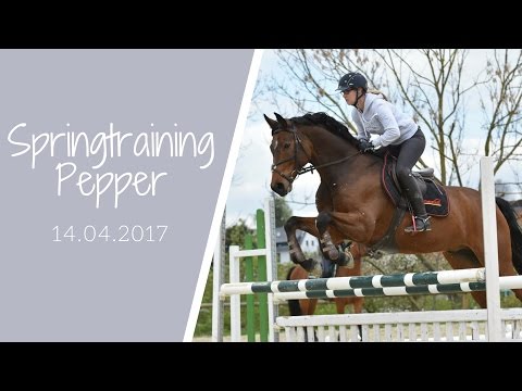 Springtraining Pepper 14.04.2017