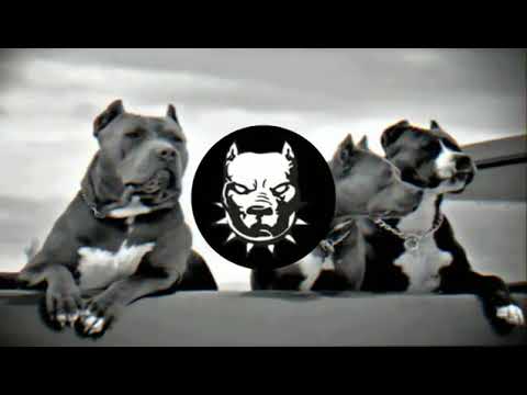 Azeri Bass Music 2019 Hamının Axtardığı ''O" Rus Mahnısı Буйна Голова