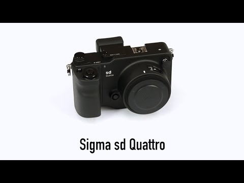 Cameta Camera SNAPSHOTS - Sigma sd Quattro Digital Camera