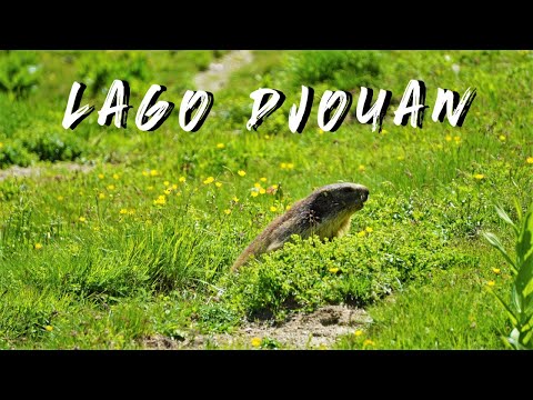 Lago Djouan - Valsavarenche - VdA