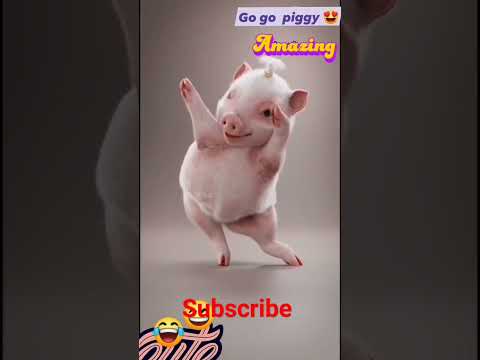 Baboy or pig Dance