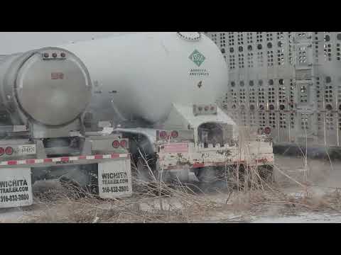 Kukorica- Tengeri ✌️🤣🥳🤣🤣😎🤠🤛🏖🏝