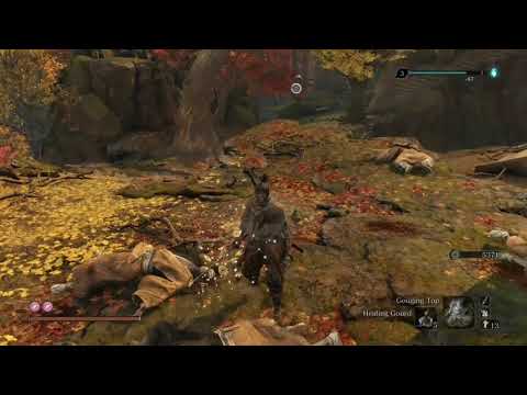 Sekiro - Hiten Mitsurugi Ryu