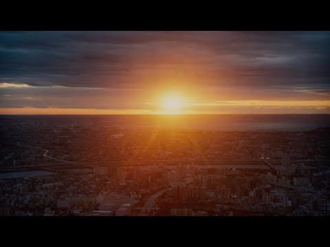 Perfect Days, 2023, Wim Wenders