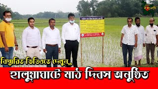 বিভিন্ন কর্মকান্ড