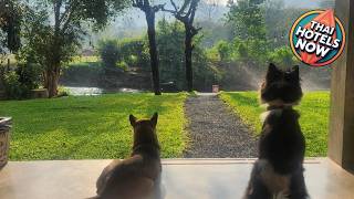 Seven 50s | Pai, Thailand | Hotel Review 🌟