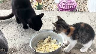 The village house of the flower is lively with its little ones