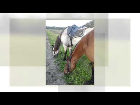 Nos souvenirs en 2015 M&K