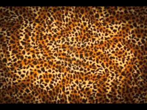 FG  La Huella del Tigre - Antonio Castillo