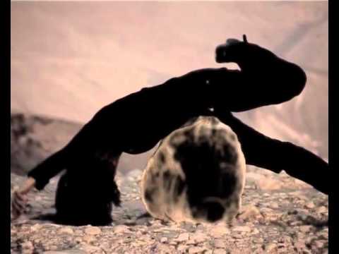 download lagu mp3 mp4 El Rey Est Desnudo, download lagu El Rey Est Desnudo gratis, unduh video klip El Rey Est Desnudo