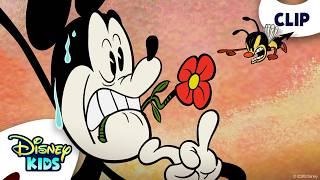 Mickey Mouse Attacked By A Bee 🐝 | Mickey Mouse (Shorts) | @disneykids