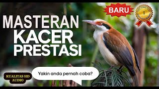 Download lagu Masteran Kacer Gacor Materi Mewah Prestasi‼️ #MasteranKacer #MasteranBurung #KacerPrestasi mp3