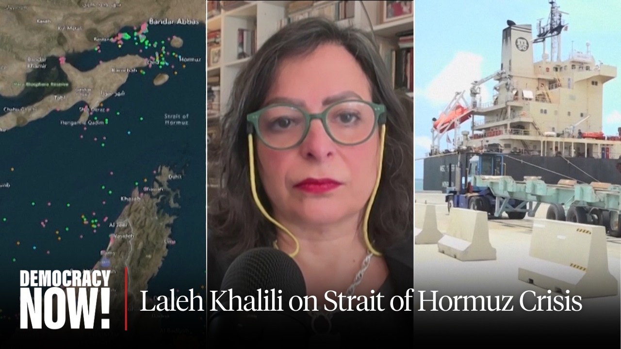 The End of the Petrodollar? How Iran War Is Reshaping the Global Economy: Author Laleh Khalili