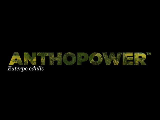 imagen-video-thefoodtech