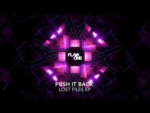 FLAVAONE - PUSH IT BACK