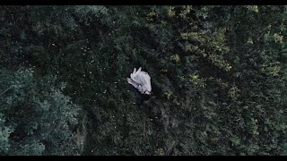 Tess Roby – “Ideas of Space”