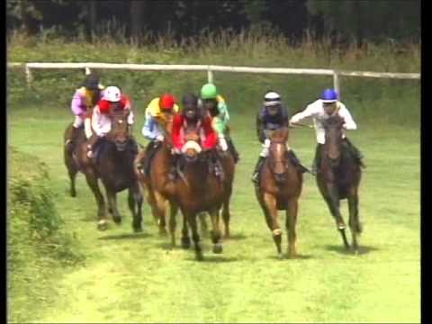 Galopprennbahn Dresden - 11.06.2011 -  2.Rennen