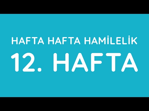 Week 12 - Pregnancy Week by Week - Pregnancy | Anneysen.com