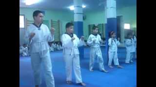 taekwondo passage de grade poomse 1 ceinture jaune
