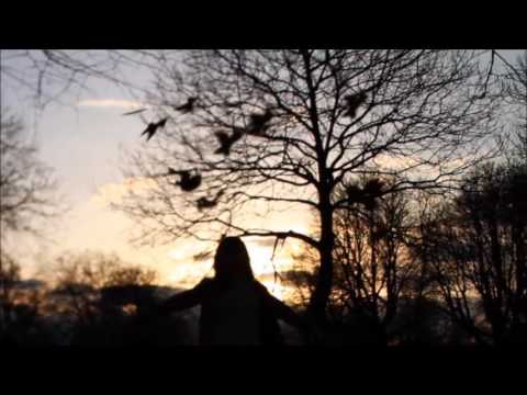 Skor ✘ Mam Na Imię Aleksander - Płynę (Miszel Blend)