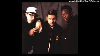 3rd Bass - Product Of The Environment (Remix)