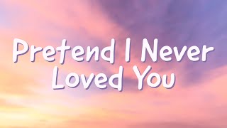 Brett Young - Pretend I Never Loved You (Lyrics)