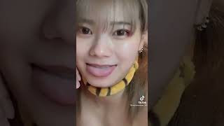 とらときちゃん