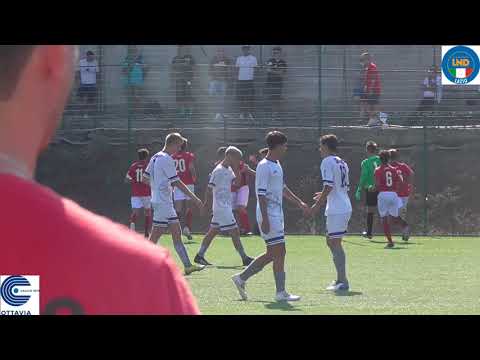 Memorial Mauro Porcelli, Savio Grifone