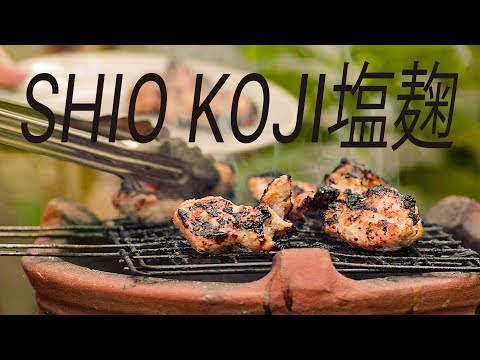 SHIO KOJI, 塩麹 fermentierte Steaks - Next Level BBQ