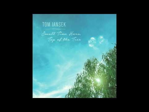 Tom Iansek - Today Tomorrow Forever (Small Time Hero, Top of the Tree LP | 2009)