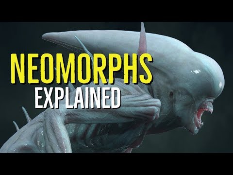 Neomorphs Explained (Alien Covenant SPOILERS)