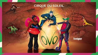 OVO | Cirque du Soleil Soundtrack Album