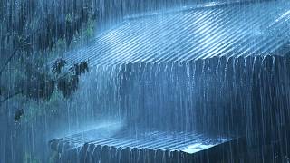 (No Ads) Real Heavy Rain & Thunderstorm Sounds 🌧️ Deep Sleep, Relaxation & Stress Relief All Night